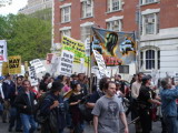 mayday44.jpg